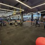 functional training area - open space